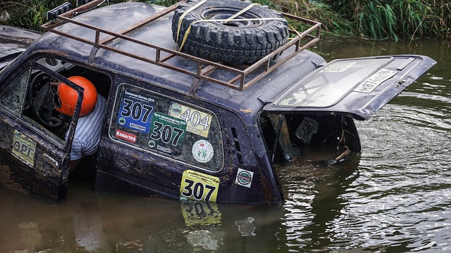 此次他为基 此次他为基