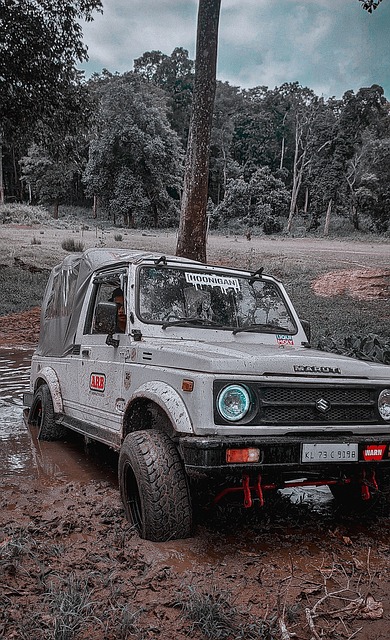 也在用自己 也在用自己