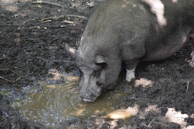 与的混乱 与的混乱